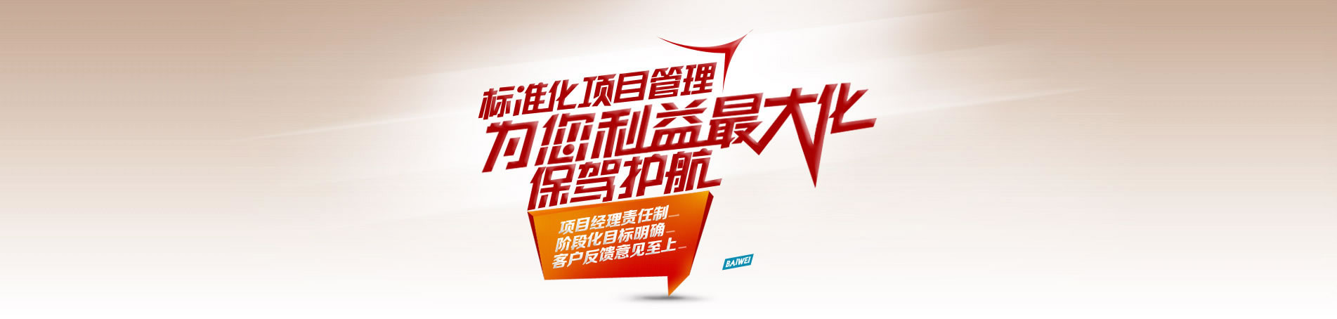 标准化网站建设项目管理