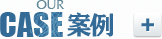 公司网站建设案例