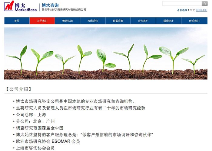 博太市场研究页面设计效果图展示2