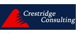 网站建设案例-Crestridgeconsulting