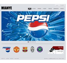 上海棉野实业有限公司